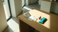 Vacinas em Portugal: o que está erradicado e o que está apenas controlado