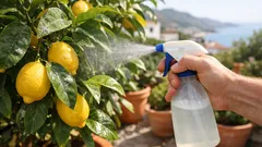Água com bicarbonato no limoeiro: funciona mesmo ou é só mais um truque de jardim