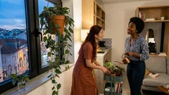 Jiboia-prateada: guia de cuidados para manter as folhas bem prateadas em casa