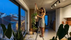 Plantas de interior tóxicas: 7 espécies comuns que podem fazer mal a crianças e animais