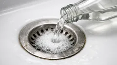 Vinagre branco no ralo: como tirar o mau cheiro da casa de banho em 5 passos