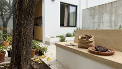 Cupins nas árvores: 7 sinais no jardim para detetar a tempo