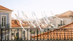 Papel celofane na varanda: o truque simples para afastar pombos