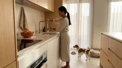 Mpox e animais de estimação: há risco de transmissão para cães e gatos?