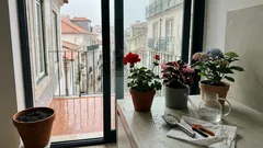 7 flores fáceis de cuidar para começar um jardim em casa sem complicações